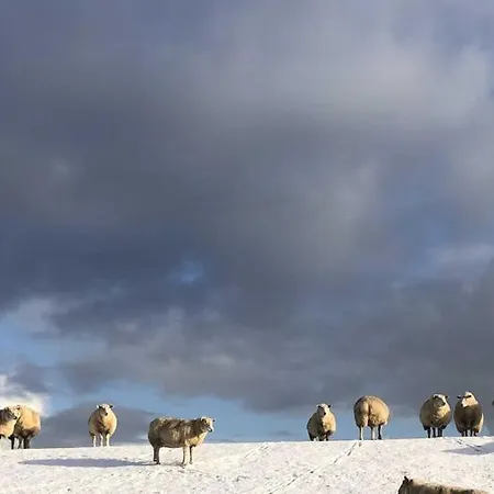 Apartamento Tief 10 „meerblick Deck 9“