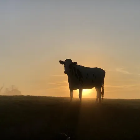 Tief 10 „meerblick Deck 9“ Apartamento Schillig