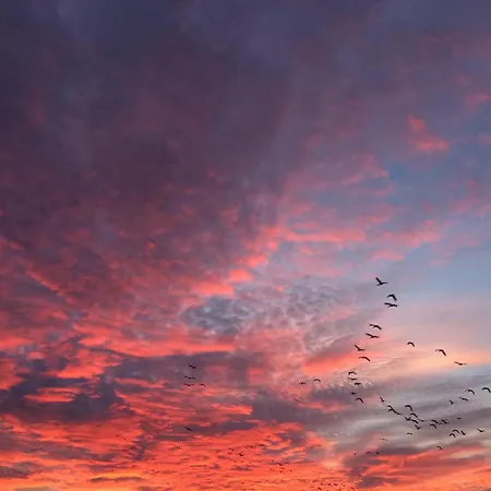 Tief 10 „meerblick Deck 9“ Schillig