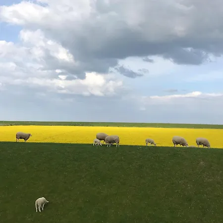 Tief 10 „meerblick Deck 9“