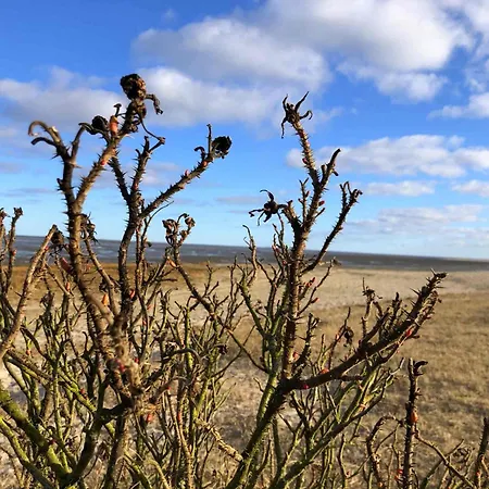 Tief 10 „meerblick Deck 9“