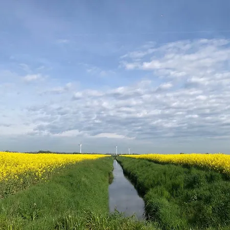 Tief 10 „meerblick Deck 9“