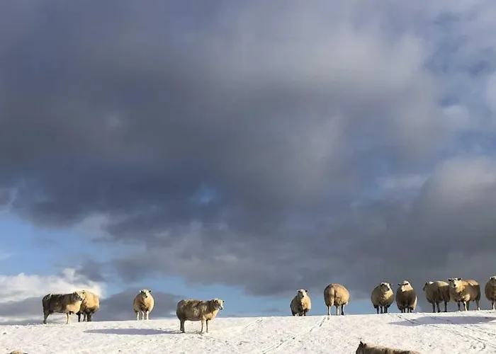 Apartment Tief 10 „meerblick Deck 9“