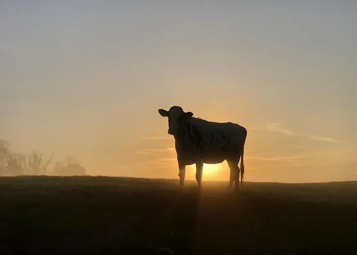 Tief 10 „meerblick Deck 9“ Apartment Schillig