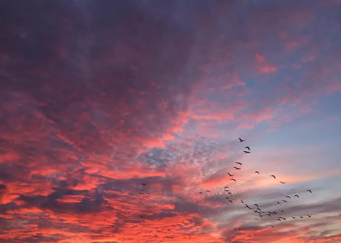 Tief 10 „meerblick Deck 9“ Schillig