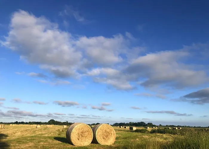 Tief 10 „meerblick Deck 9“ Apartment Schillig