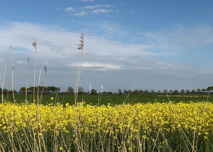 Apartment Tief 10 „meerblick Deck 9“ Schillig