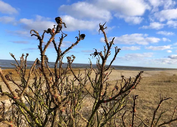 Tief 10 „meerblick Deck 9“